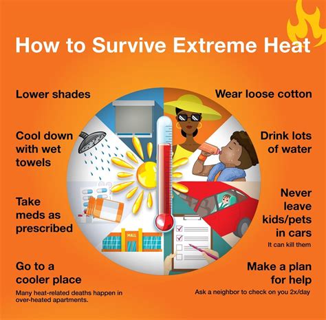 what to do during a heat wave